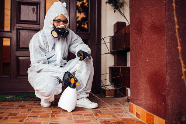 Reliable Wasp Removal contractor in Cape Coral, FL by Show Me Pest Control